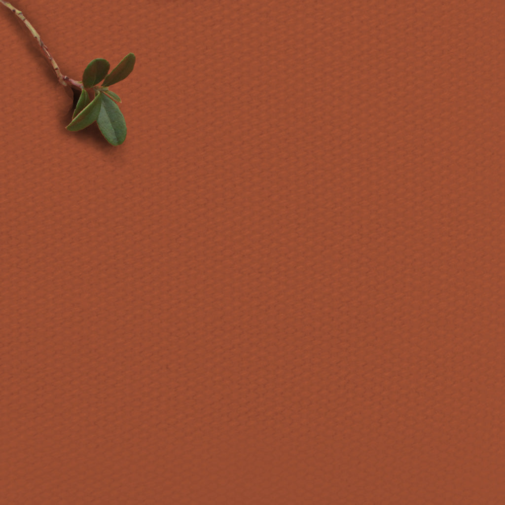 Burnt Orange - 100% Cotton fabric for curtains, blinds and upholstery