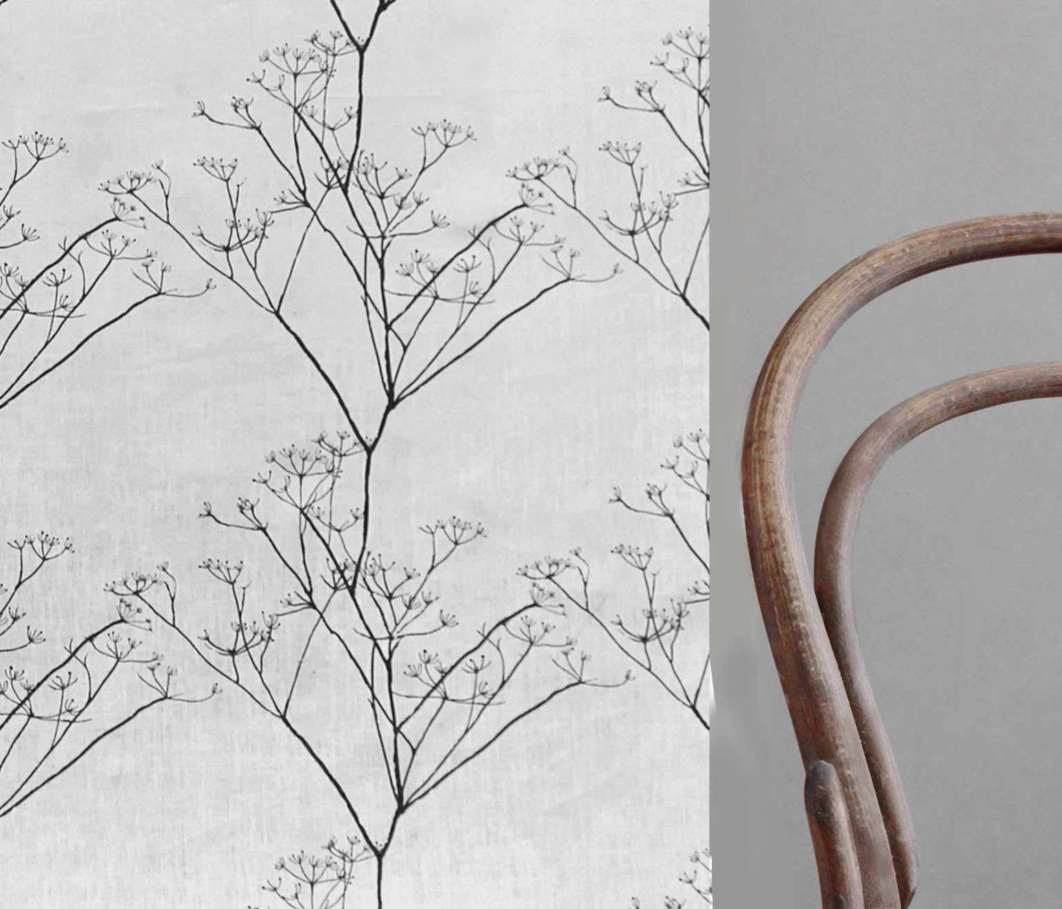 Cicely Black - White linen fabric, black botanical print