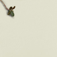Amara Cream - 100% Cotton fabric for curtains, blinds and upholstery