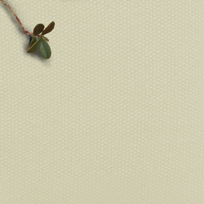 Amara Creamy Mist - Neutral Cotton fabric for upholstery and drapes