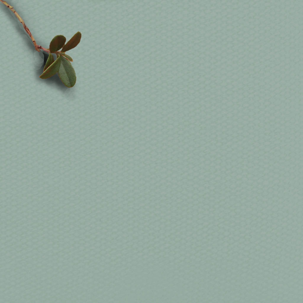 Duck Egg Blue - 100% Cotton Fabric for Curtains, Blinds and Upholstery