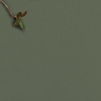 Amara Frost Sage - green 100% Cotton fabric for curtains, blinds and upholstery