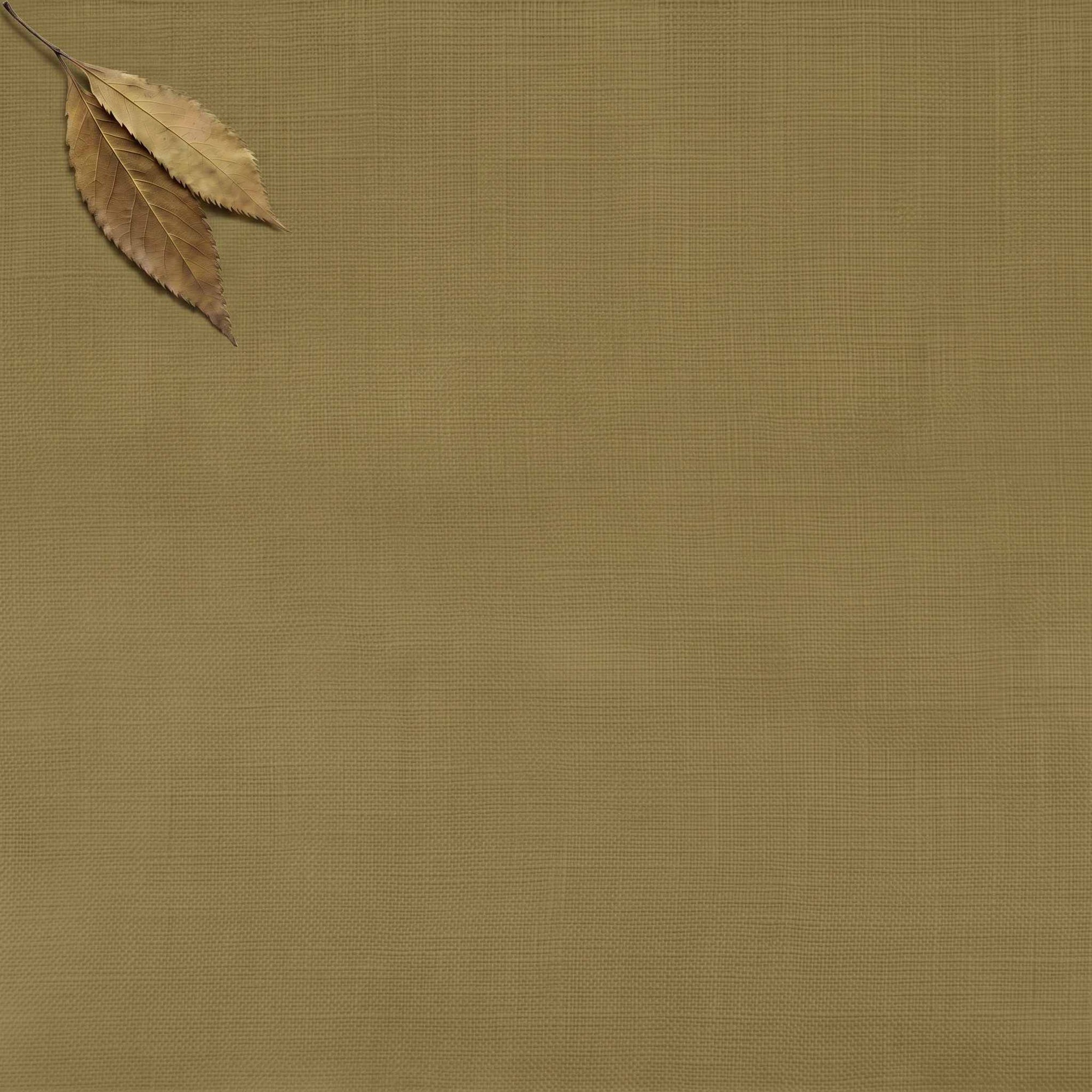 Khaki Green Double width Linen fabric. Softened 280 cm wide. Vilgot Noveau Khaki by Ada & Ina