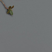 Amara Greige - Grey / greige 100% Cotton fabric for curtains, blinds and upholstery