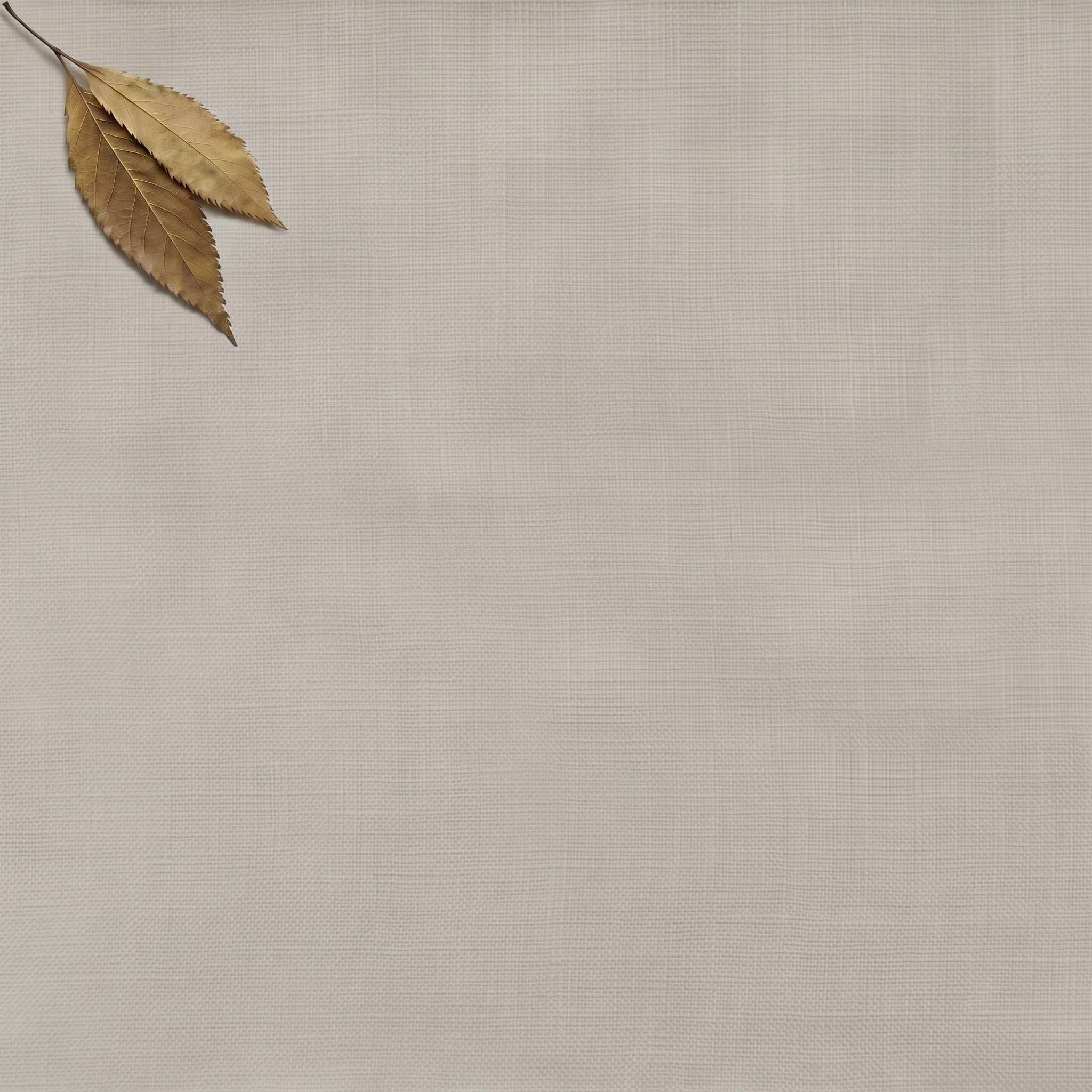 Grey Double width Linen fabric. Softened 280 cm wide. Vilgot Grau by Ada & Ina
