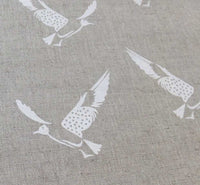 Hummingbird White