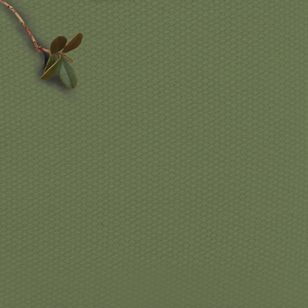 Amara Ivy - 100% Cotton fabric for Curtains, Blinds and Upholstery