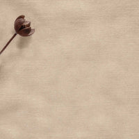 Light brown Linen stonewashed Fabric. Mariana Bisque by Ada & Ina