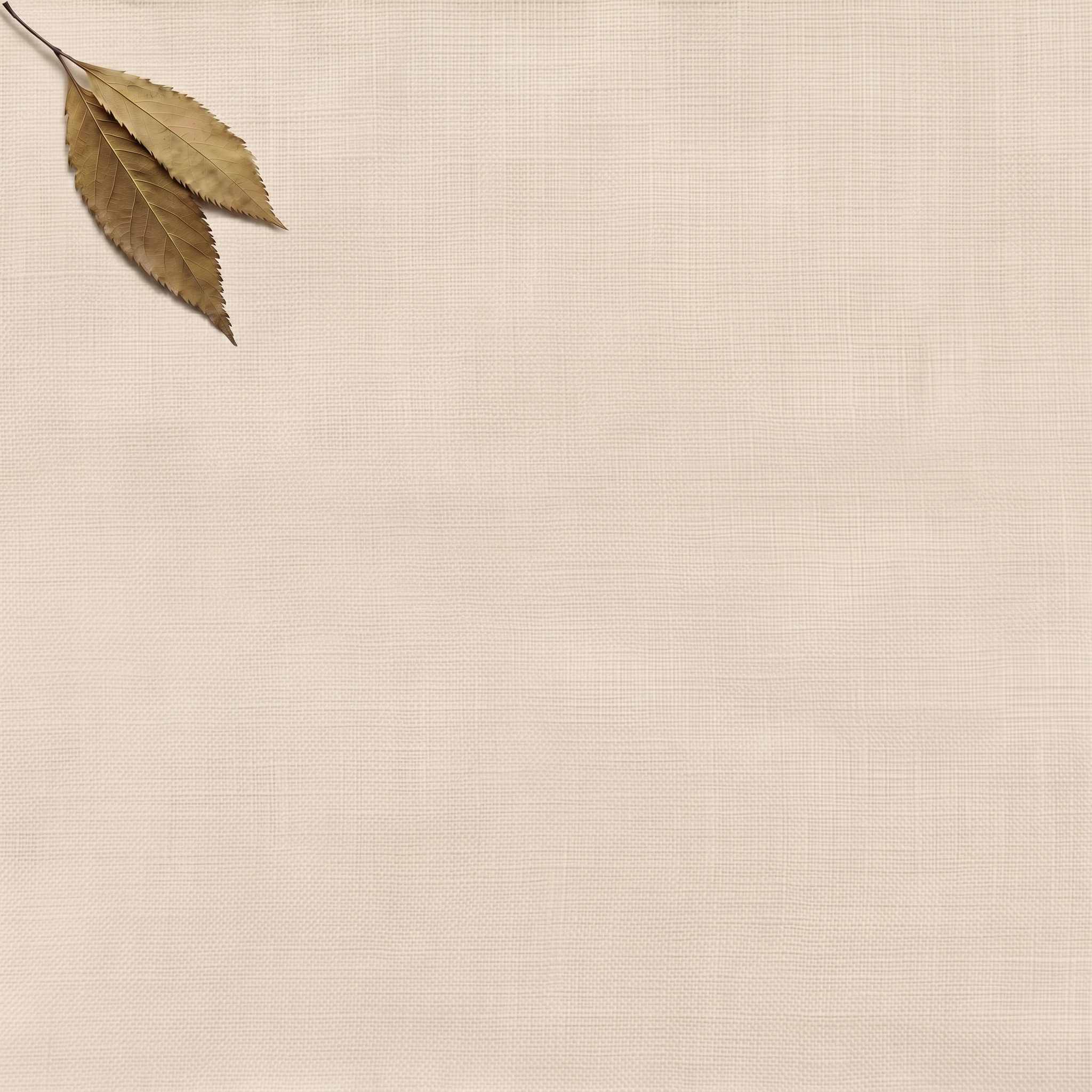 Light Pink Double width Linen fabric. Softened 280 cm wide. Vilgot Powder Pink by Ada & Ina
