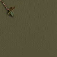 Amara Magic Pine - Green cotton fabric for curtains, upholstery