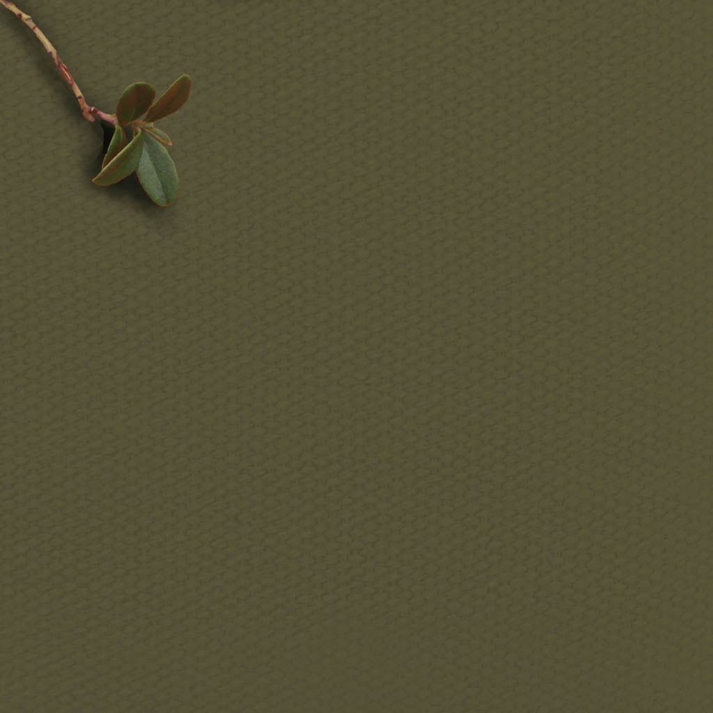 Amara Magic Pine - Green cotton fabric for curtains, upholstery