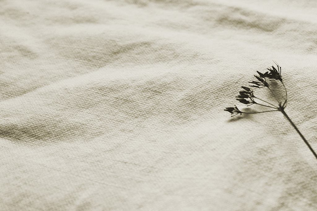 Mailis Off-White - White upholstery fabric, also for draping