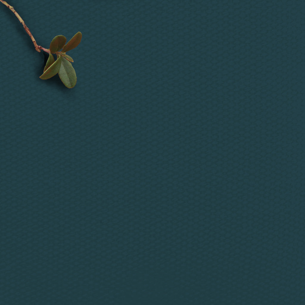 Amara Marine Blue - 100% Cotton Fabric for Curtains, Blinds and Upholstery