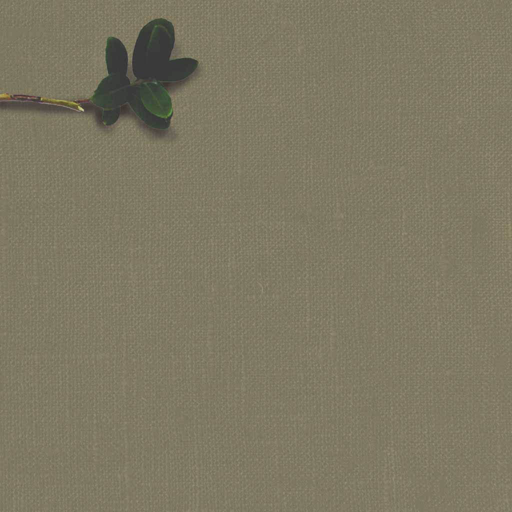 Linia Moss Green - stone washed medium weight 100% linen fabric for lined or unlined curtains. Soft Finish.