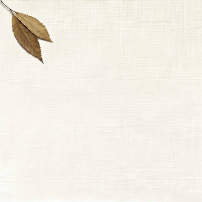 Off-white Double width Linen fabric. Softened 280 cm wide. Vilgot White by Ada & Ina
