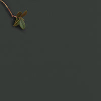 Amara Onyx - Dark grey 100% cotton fabric for curtains, blinds and upholstery