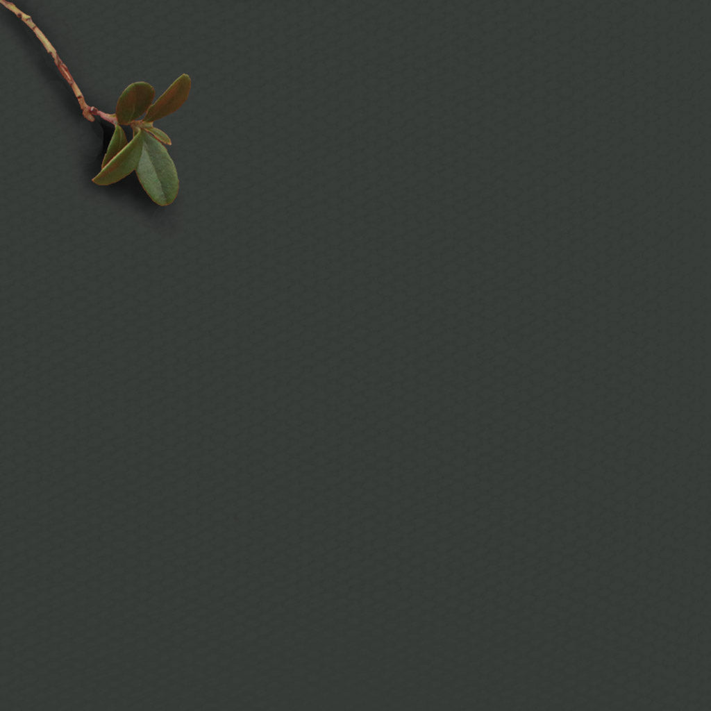 Amara Onyx - Dark grey 100% cotton fabric for curtains, blinds and upholstery