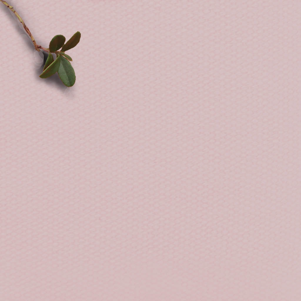 Amara Pale Rose - Pink 100% Cotton Fabric for Curtains, Blinds and Upholstery