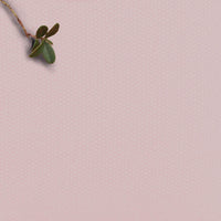 Amara Pale Rose - Pink 100% Cotton Fabric for Curtains, Blinds and Upholstery