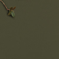 Amara Pine Green - 100% Cotton fabric for curtains, blinds and upholstery