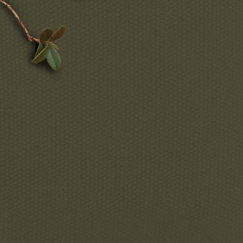 Amara Pine Green - 100% Cotton fabric for curtains, blinds and upholstery