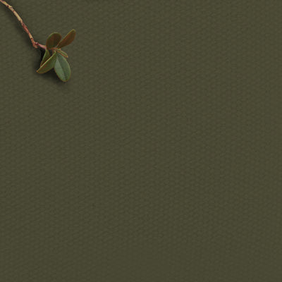 Amara Pine Green - 100% Cotton fabric for curtains, blinds and upholstery
