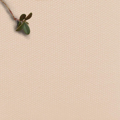 Amara Rose Dream- 100% Cotton fabric for Curtains, Blinds and Upholstery