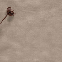 Warm Neutral Linen stonewashed Fabric. Mariana Sand by Ada & Ina