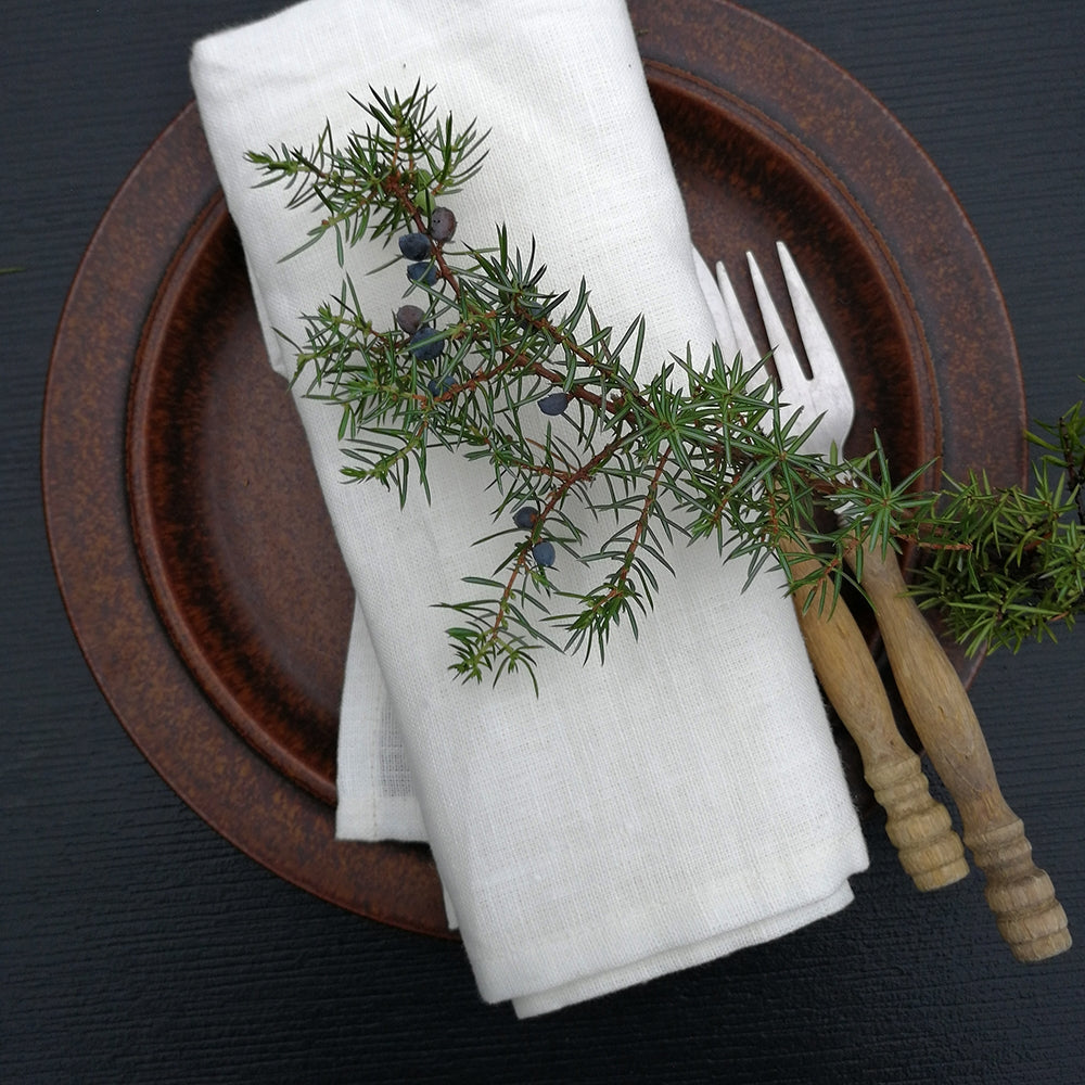 Linen Napkins for Restaurants and Home - WHITE COLOUR NAPKIN