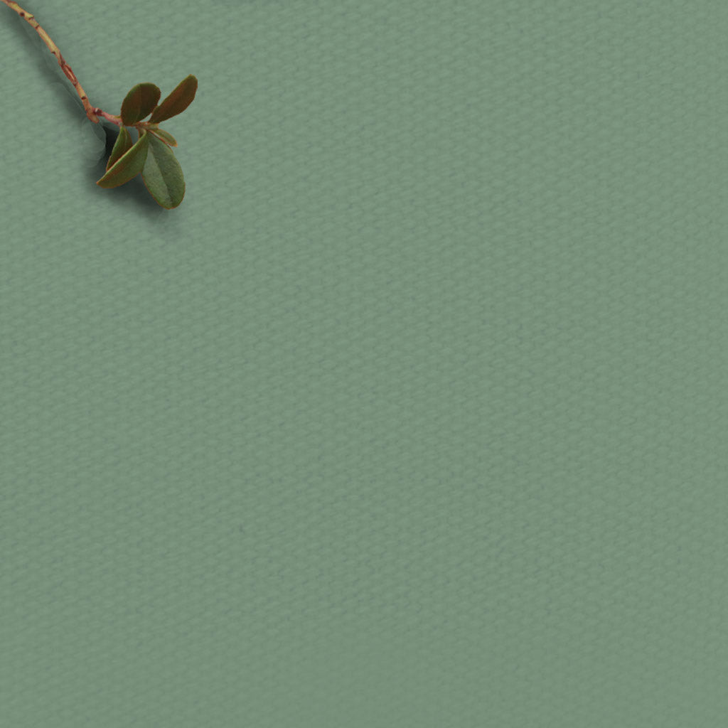 Sage Green Fabric for curtains, blinds and upholstery.