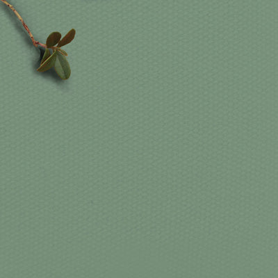 Sage Green Fabric for curtains, blinds and upholstery.