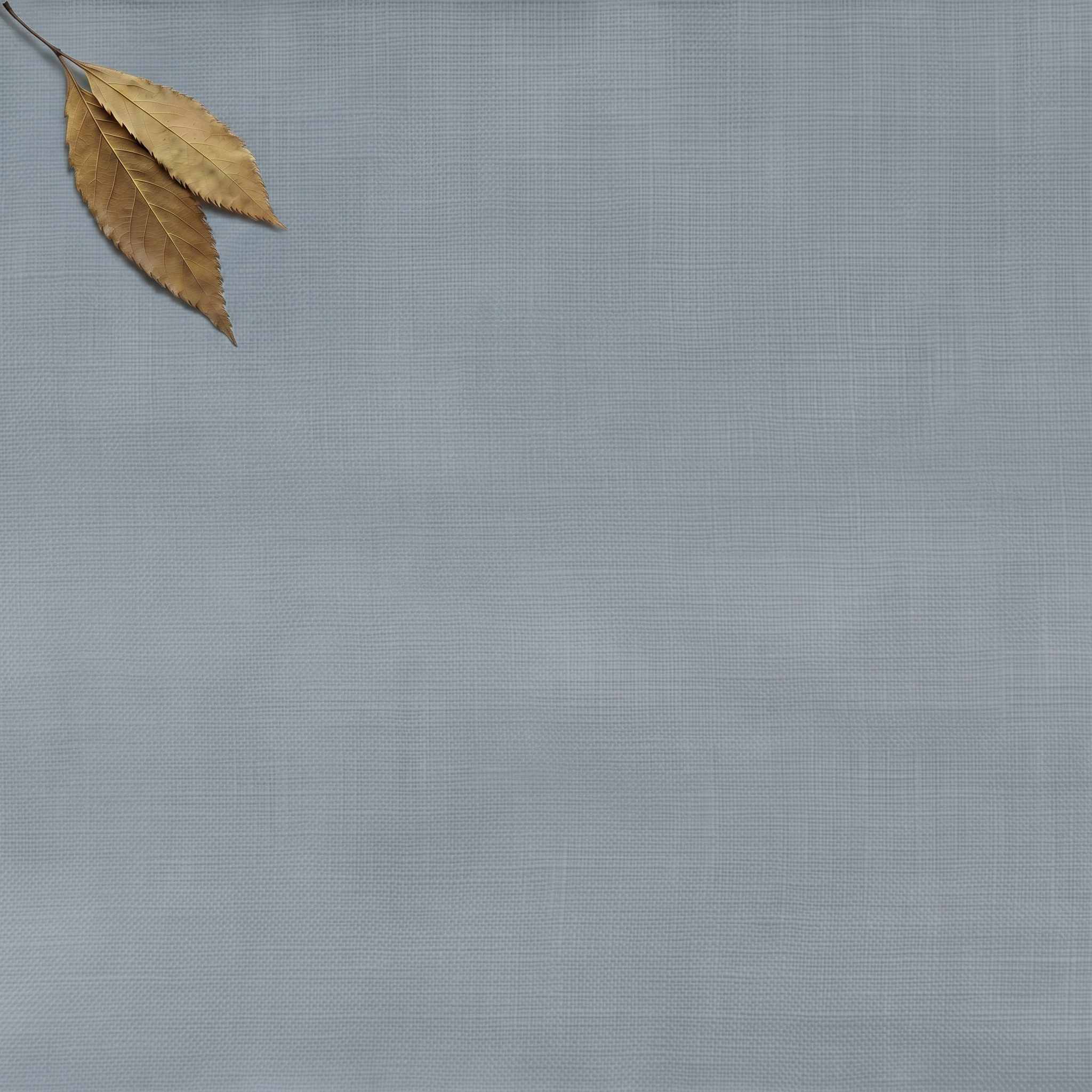 Greyish Blue Double width Linen fabric. Softened 280 cm wide. Vilgot Lake Blue by Ada & Ina