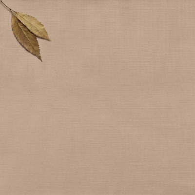 Nougat Brown Double width Linen fabric. Softened 280 cm wide. Vilgot Nougat by Ada & Ina