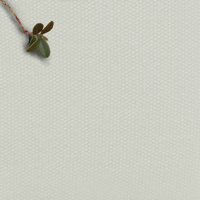 Amara Chiffon - Light grey 100% Cotton fabric for Curtains, Blinds and Upholstery
