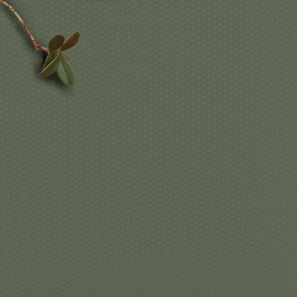 Amara Frost Sage - green 100% Cotton fabric for curtains, blinds and upholstery
