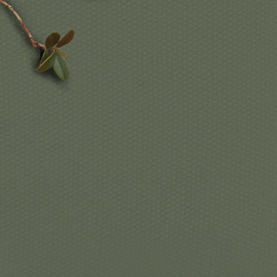 Amara Frost Sage - green 100% Cotton fabric for curtains, blinds and upholstery