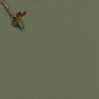 Ivy Green - 100% Cotton fabric for Curtains, Blinds and Upholstery 