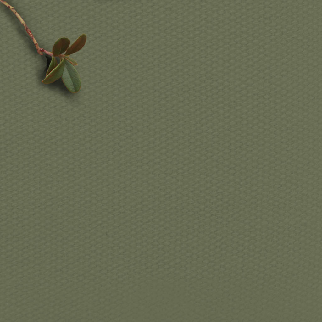 Ivy Green - 100% Cotton fabric for Curtains, Blinds and Upholstery 
