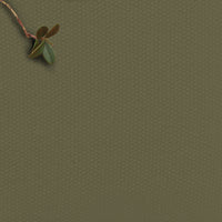 Amara Khaki Green - 100% Cotton fabric