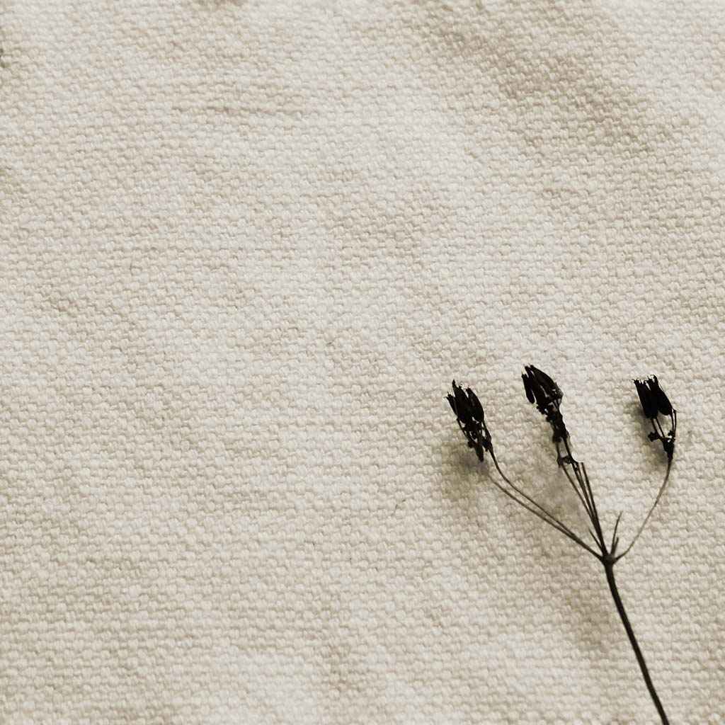 Mailis Off-White - White upholstery fabric, also for draping