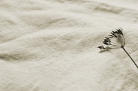 Mailis Off-White - White upholstery fabric, also for draping