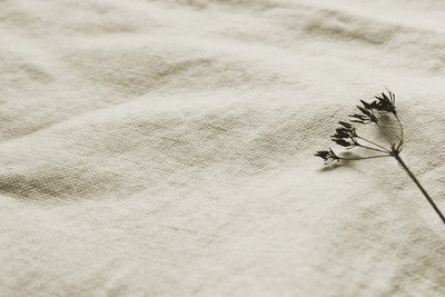 Mailis Off-White - White upholstery fabric, also for draping