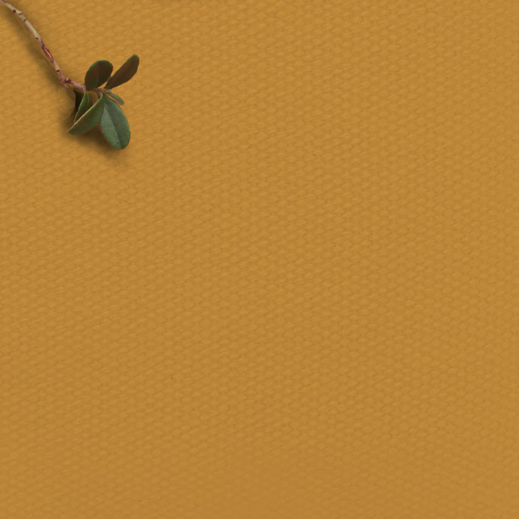 Amara Mustard - Yellow cotton fabric for curtains, upholstery