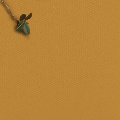 Amara Mustard - Yellow cotton fabric for curtains, upholstery