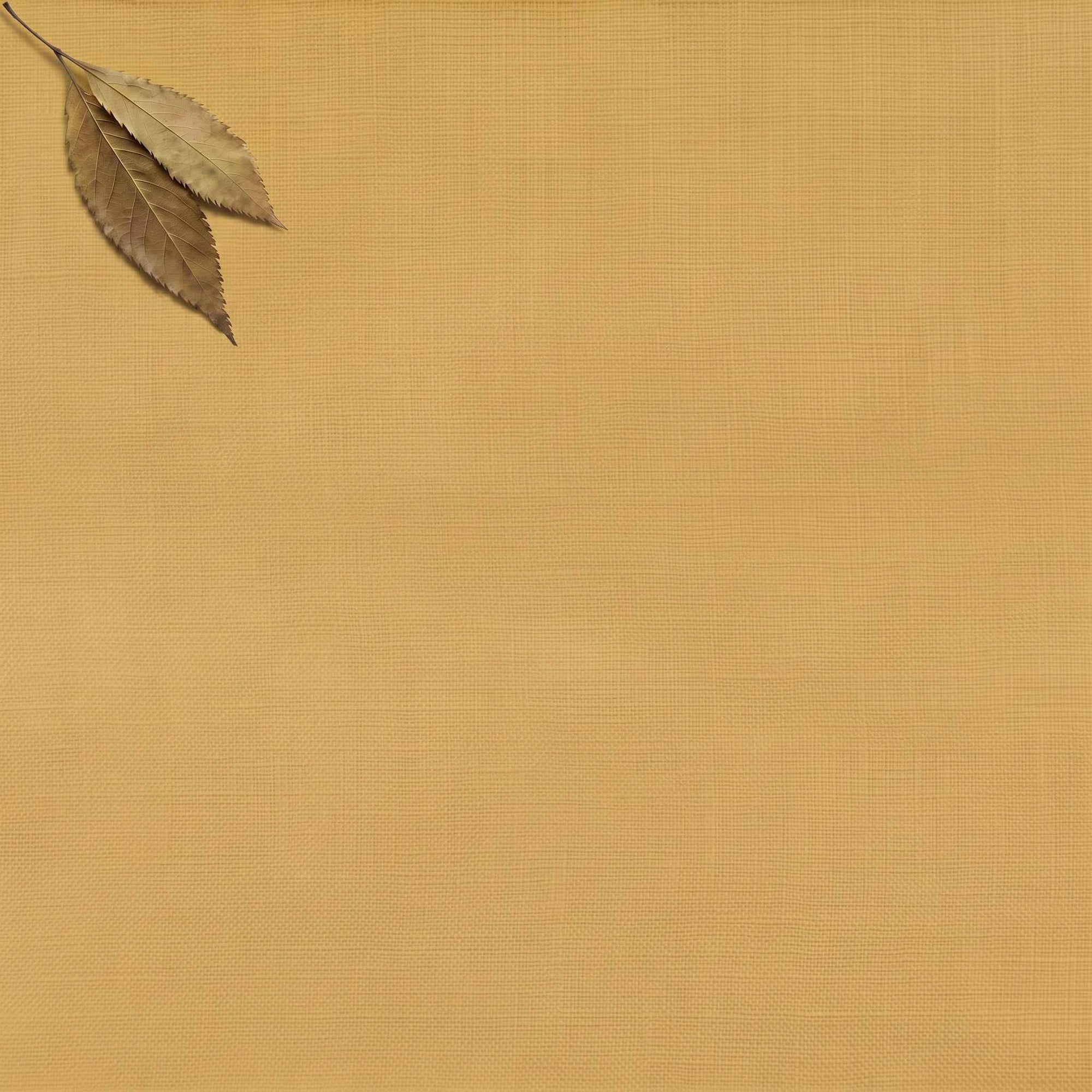 Mustard Yellow Double width Linen fabric. Softened 280 cm wide. Vilgot Noveau Dijion by Ada & Ina