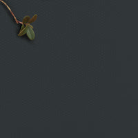 Amara Noir - Black 100% Cotton Fabric for curtains and blinds