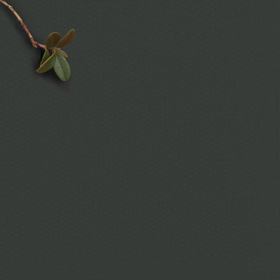 Amara Onyx - Dark grey 100% cotton fabric for curtains, blinds and upholstery 