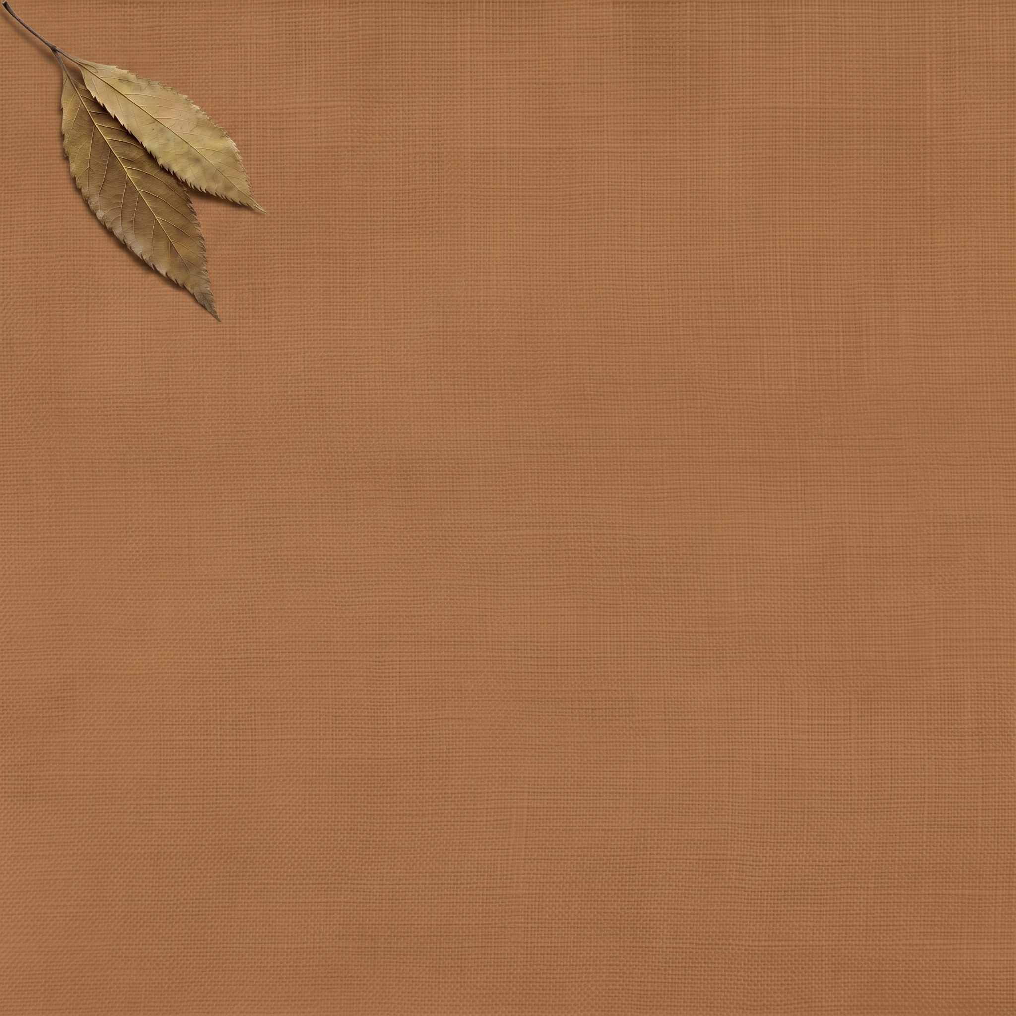 Dark Orange Double width Linen fabric. Softened 280 cm wide. Vilgot Burnt Orange by Ada & Ina