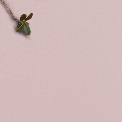 Amara Pale Rose - Pink 100% Cotton Fabric for Curtains, Blinds and Upholstery