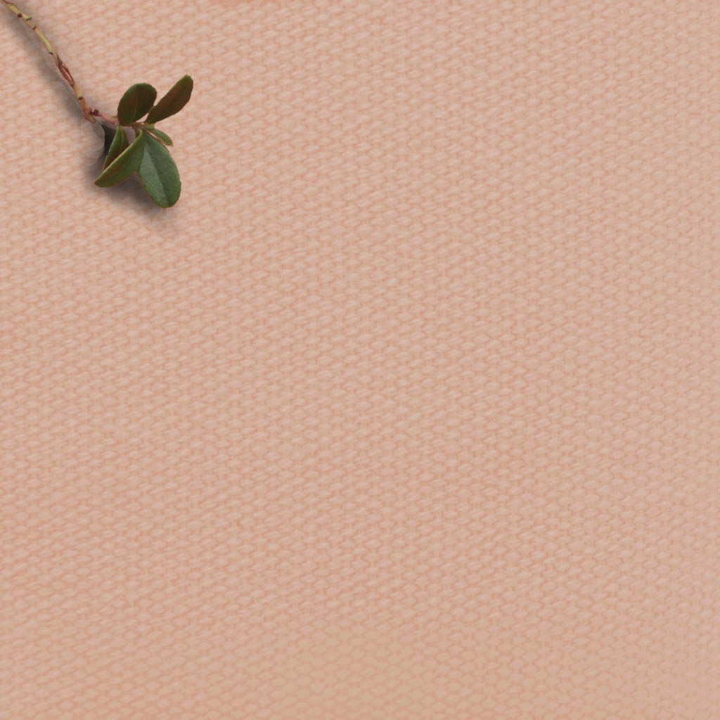Amara Peony Powder - Muted Pink Cotton fabric for Curtains, Blinds and Upholstery 